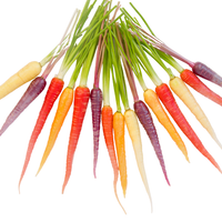 Cà Rốt Baby Nhiều Màu - Heirloom Carrots