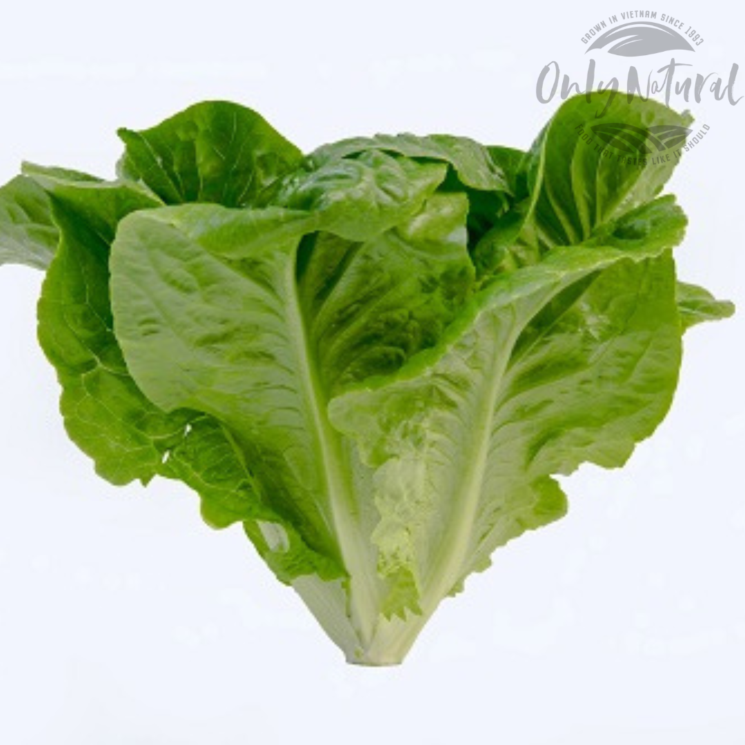 Xà Lách - Romaine 300gr