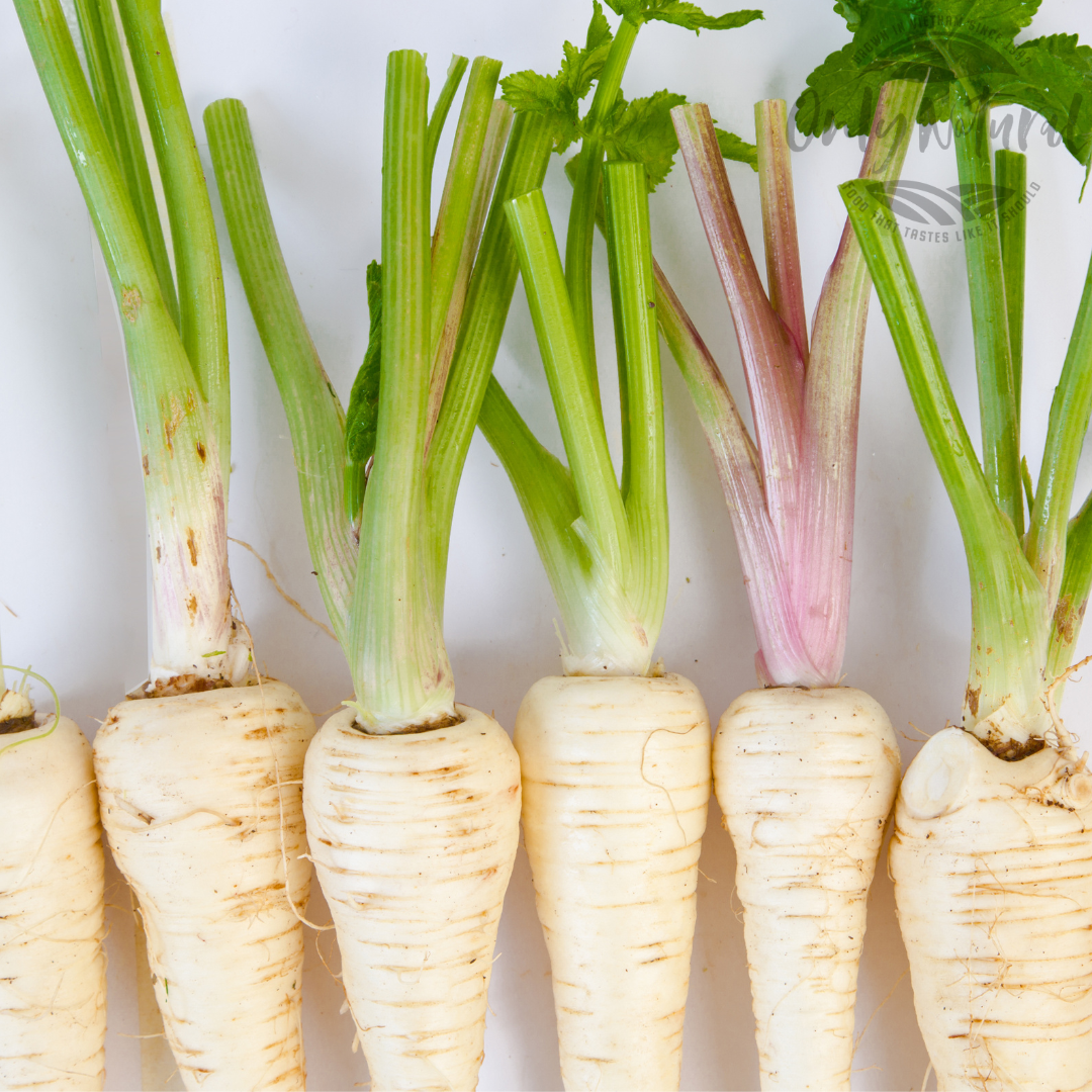 Củ Cải Vàng - Parsnips 1kg