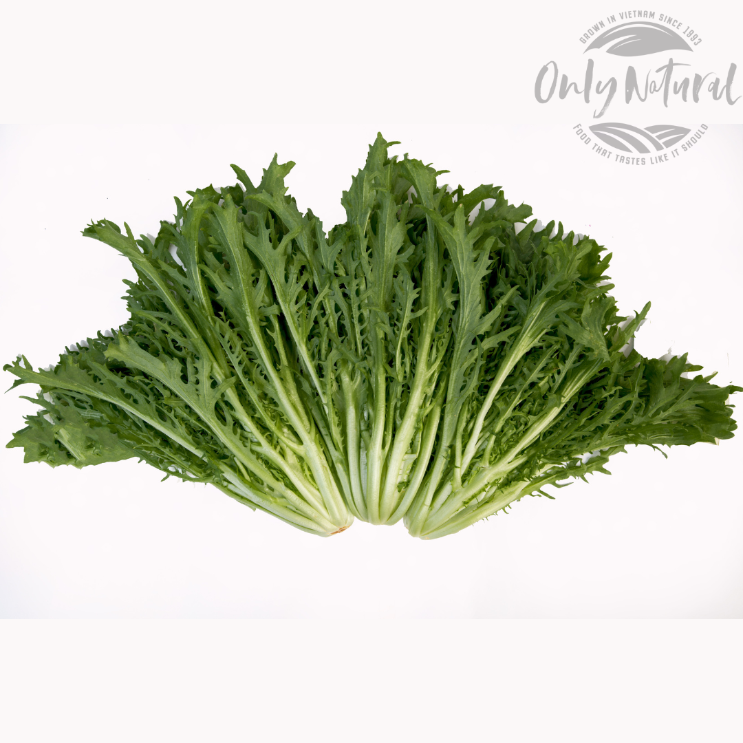 Xà Lách - Frissee X Fine 300gr