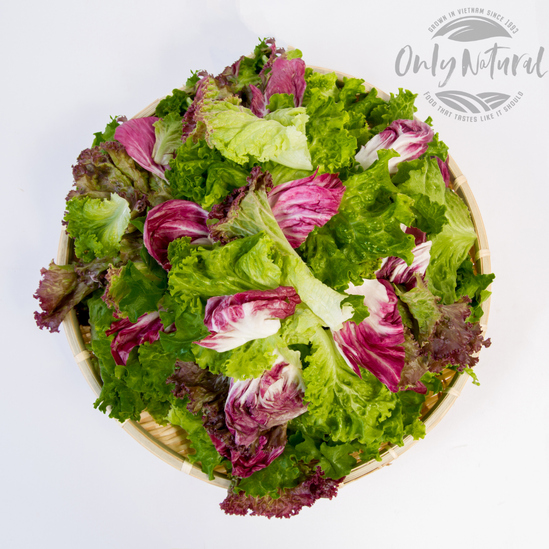 Xà lách trộn hỗn hợp - Mixed salad 200gr