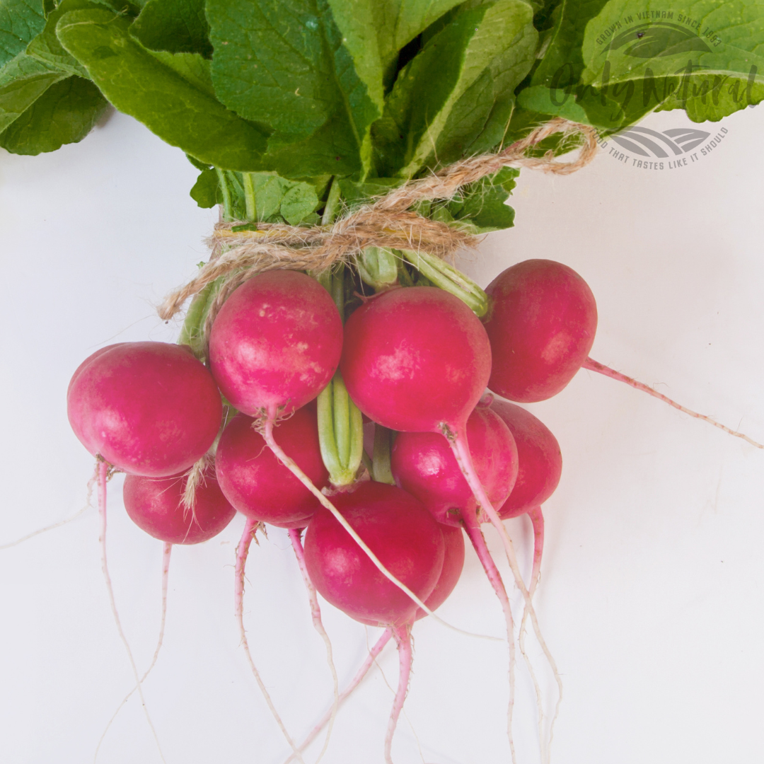 Củ Cải Đỏ - Red Radish 200gr