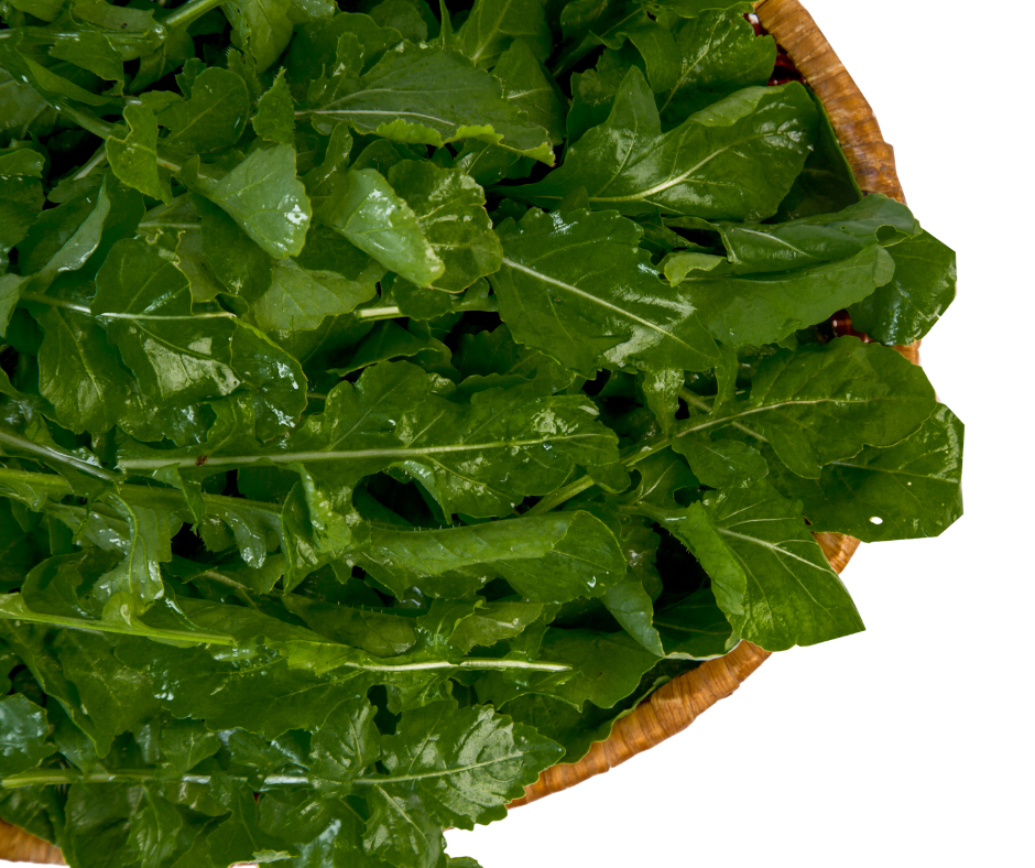 Rau Arugula - Arugula