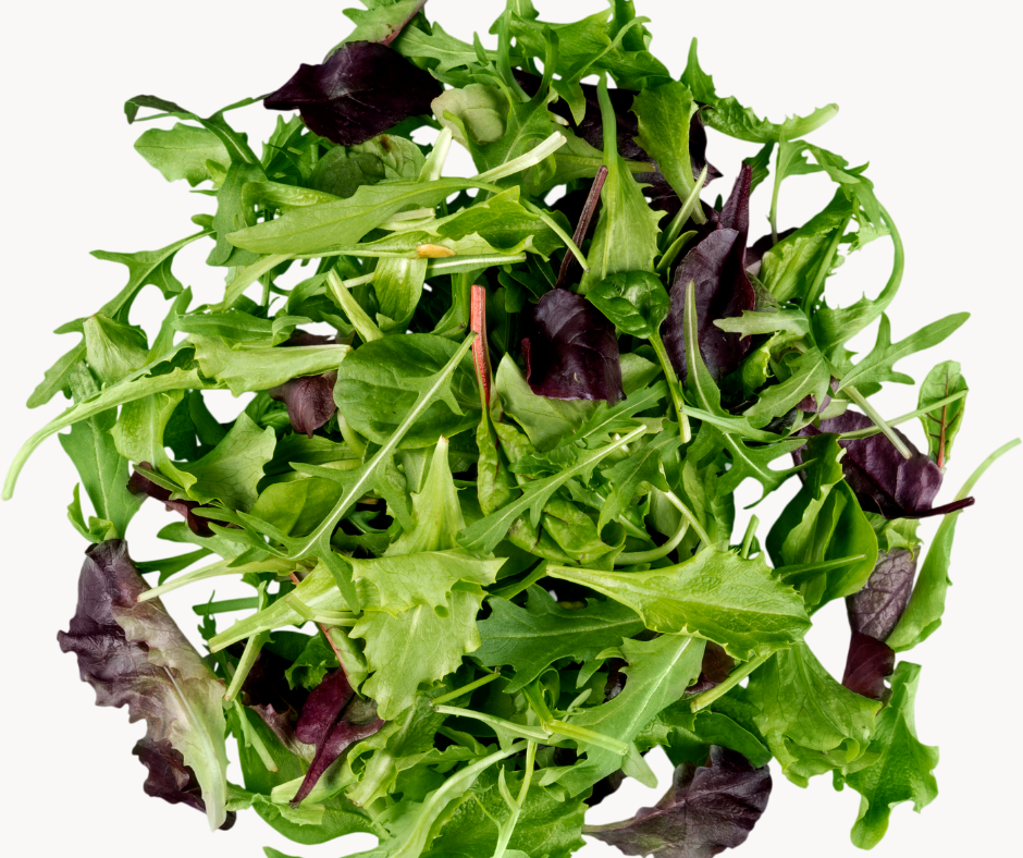 Rau Xà Lách Mix - Orient Mix 100gr