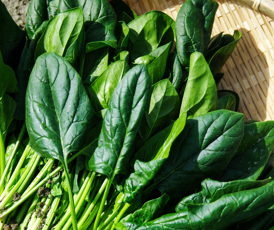 Cải Bó Xôi Baby - Baby Spinach 100g