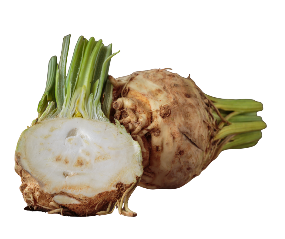 Củ Cần Tây - Celeriac