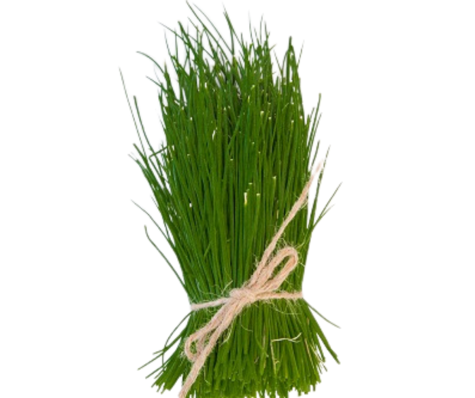 Rau Hẹ - Chives 40gr