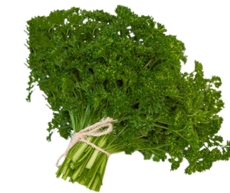 Mùi tây xoăn - Parsley Curled