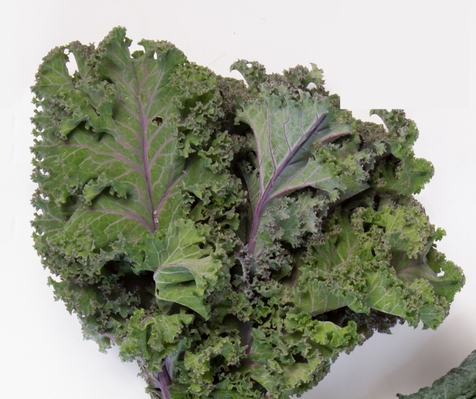 Cải Xoắn  - Curly Kale