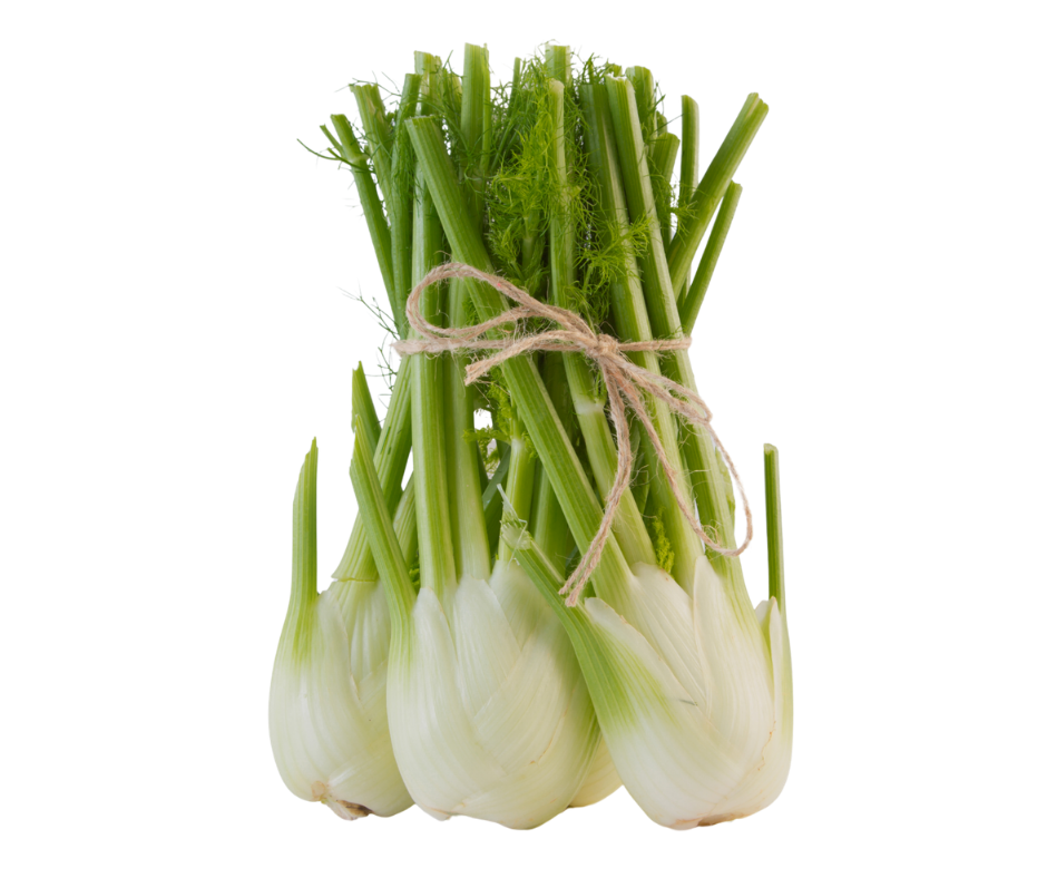 Thì Là - Fennel