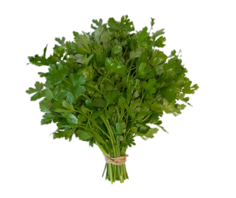 Mùi Tây Thẳng - Italian Flat Parsley