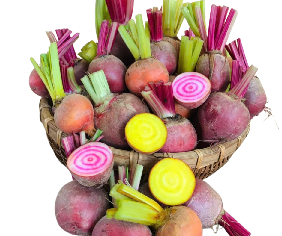 Củ Dền Mix - Heirloom Baby Beetroots