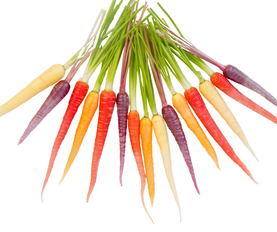 Cà Rốt Baby Nhiều Màu - Heirloom Carrots