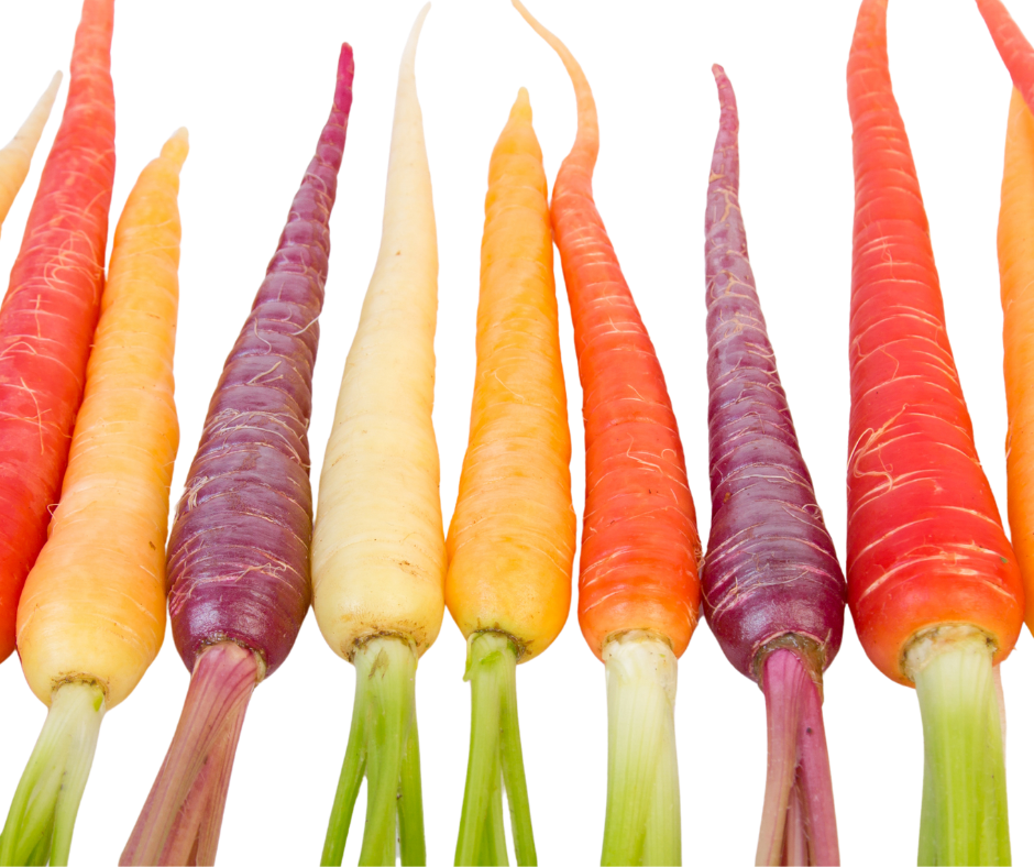 Cà Rốt Baby Nhiều Màu - Heirloom Carrots