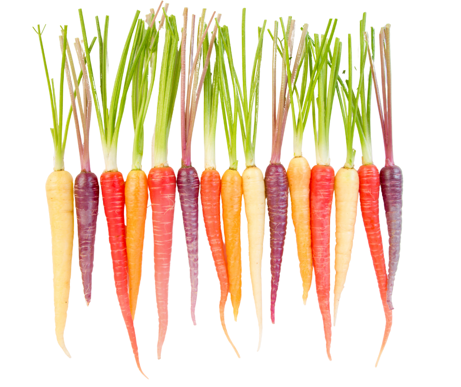 Cà Rốt Baby Nhiều Màu - Heirloom Carrots