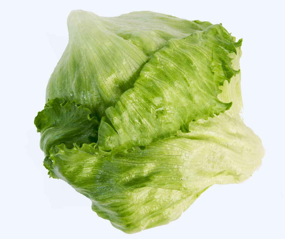 Xà Lách Mỹ - Iceberg