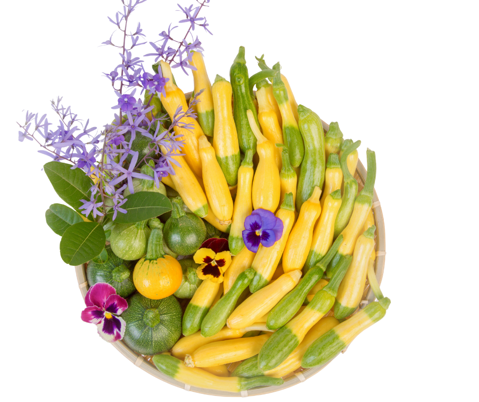 Bí Ngòi Tí Hon - Mixed Baby Squash