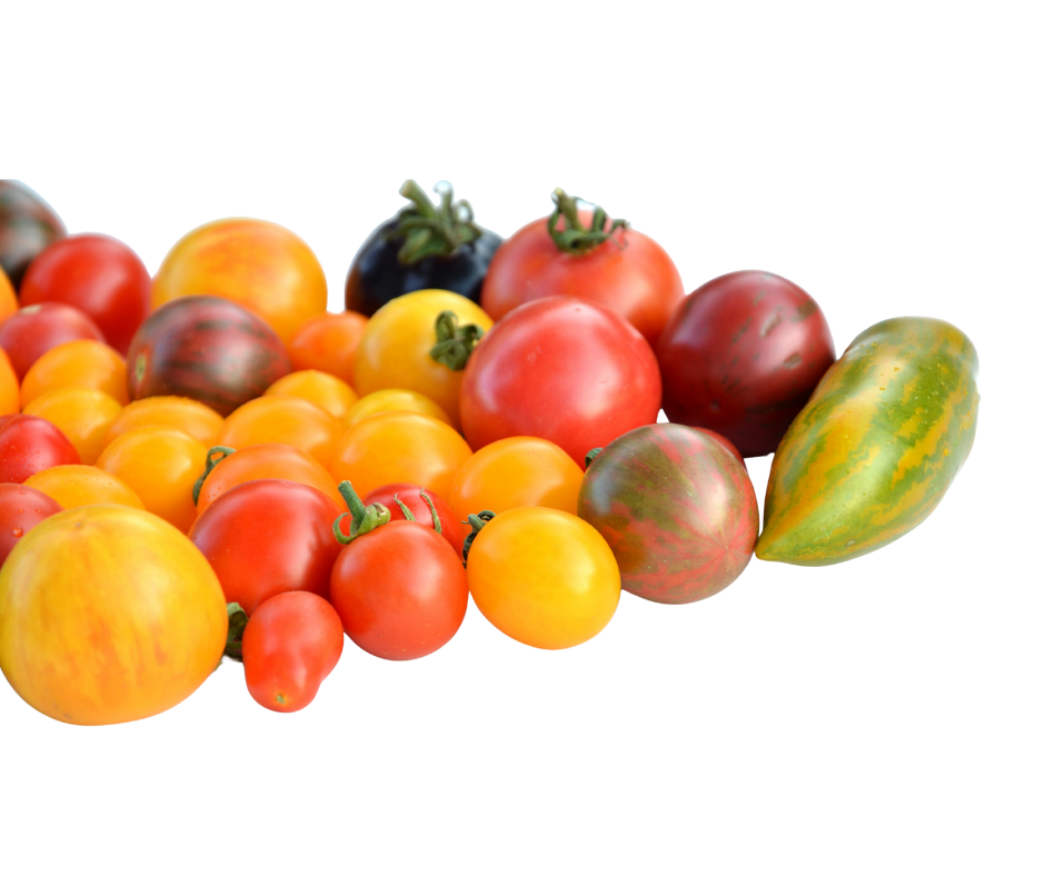 Cà Chua Bi Nhiều Màu  - Mixed Heirloom Tomato