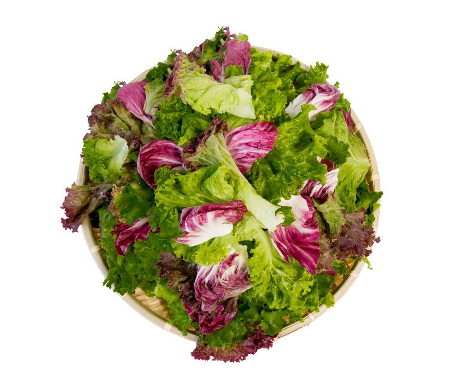 Xà Lách Trộn Hỗn Hợp - Mixed salad
