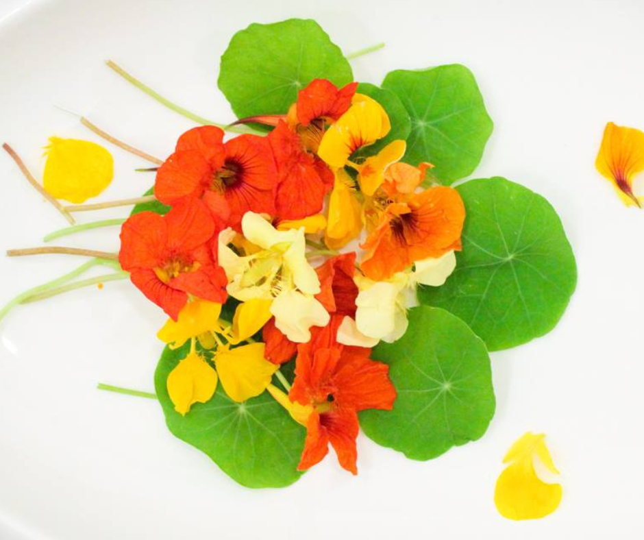 Lá & Hoa Sen Cạn - Nasturtium