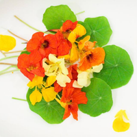 Lá & Hoa Sen Cạn - Nasturtium