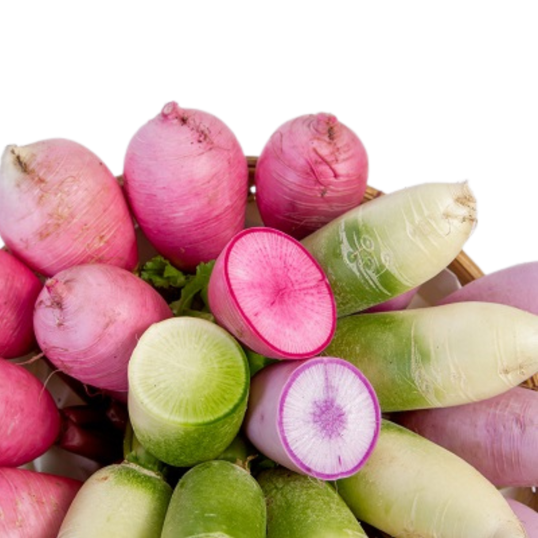 Củ Cải Nhật - Củ cải cầu vồng (Daikon)