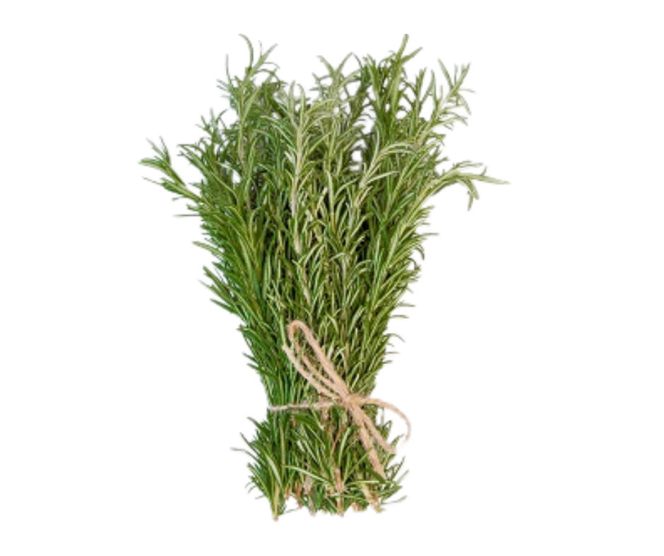 Lá Hương Thảo - Rosemary