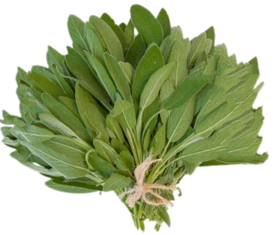 Rau Xô Thơm - Xô Thơm 100gr